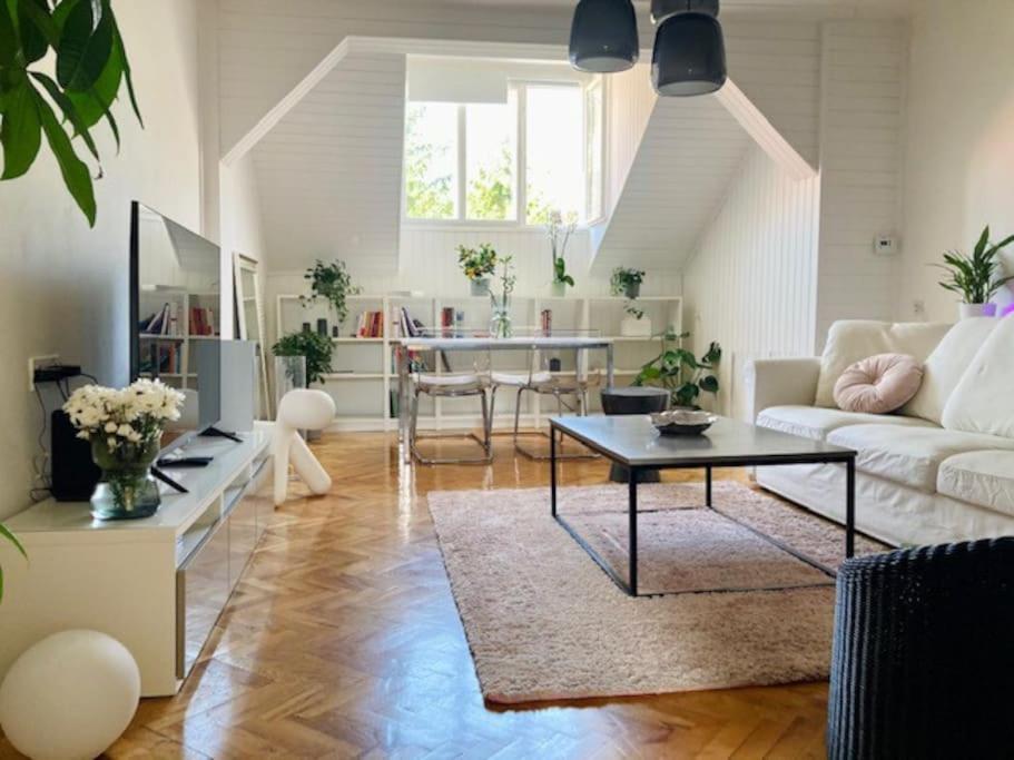 Big, Bright Apartment In The Center Of Zagreb Luaran gambar