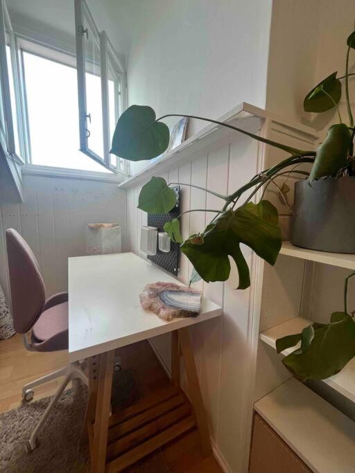 Big, Bright Apartment In The Center Of Zagreb Luaran gambar